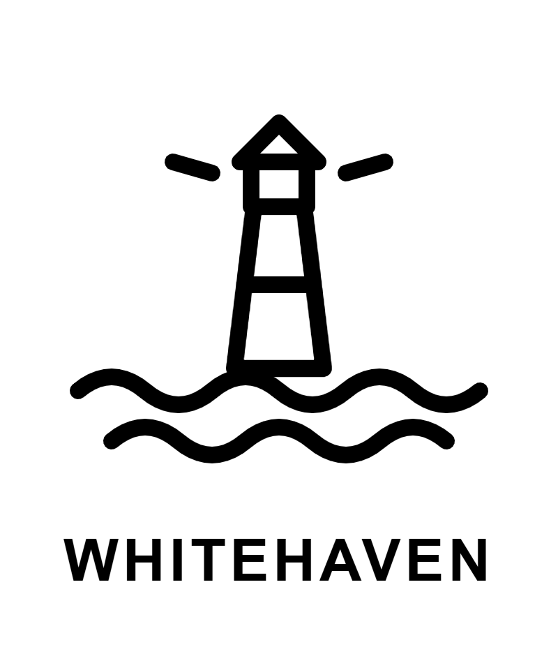 Black silhouette of a dinosaur standing on two legs with a long tail, showing a classic Tyrannosaurus rex profile.